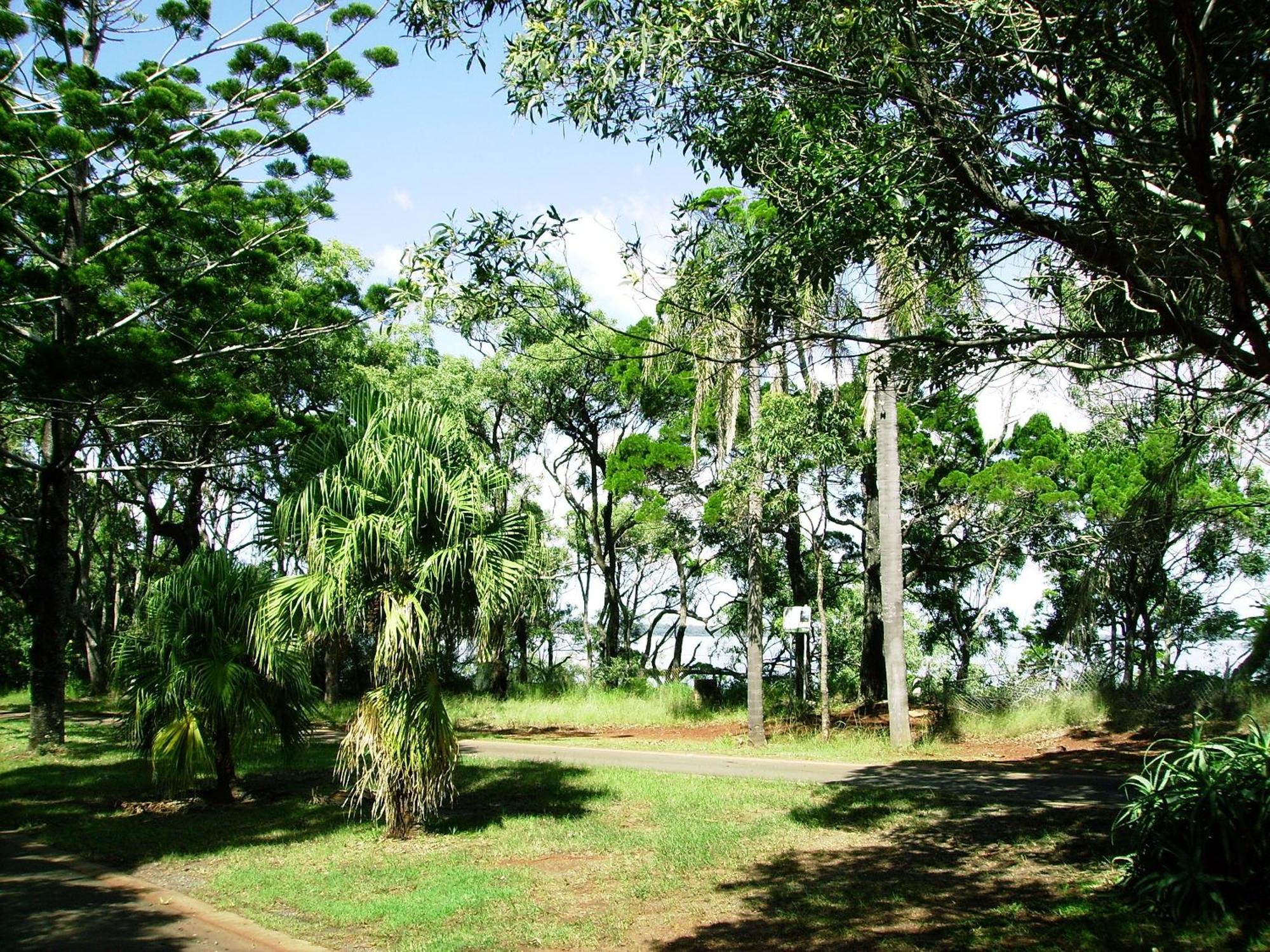 Seminara Apartments Coochiemudlo Island Eksteriør billede